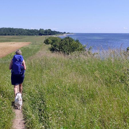 Apartament Goldsprotte Eckernförde Zewnętrze zdjęcie