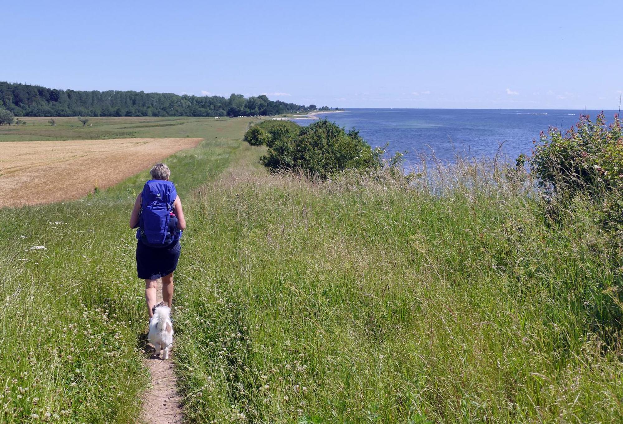 Apartament Goldsprotte Eckernförde Zewnętrze zdjęcie