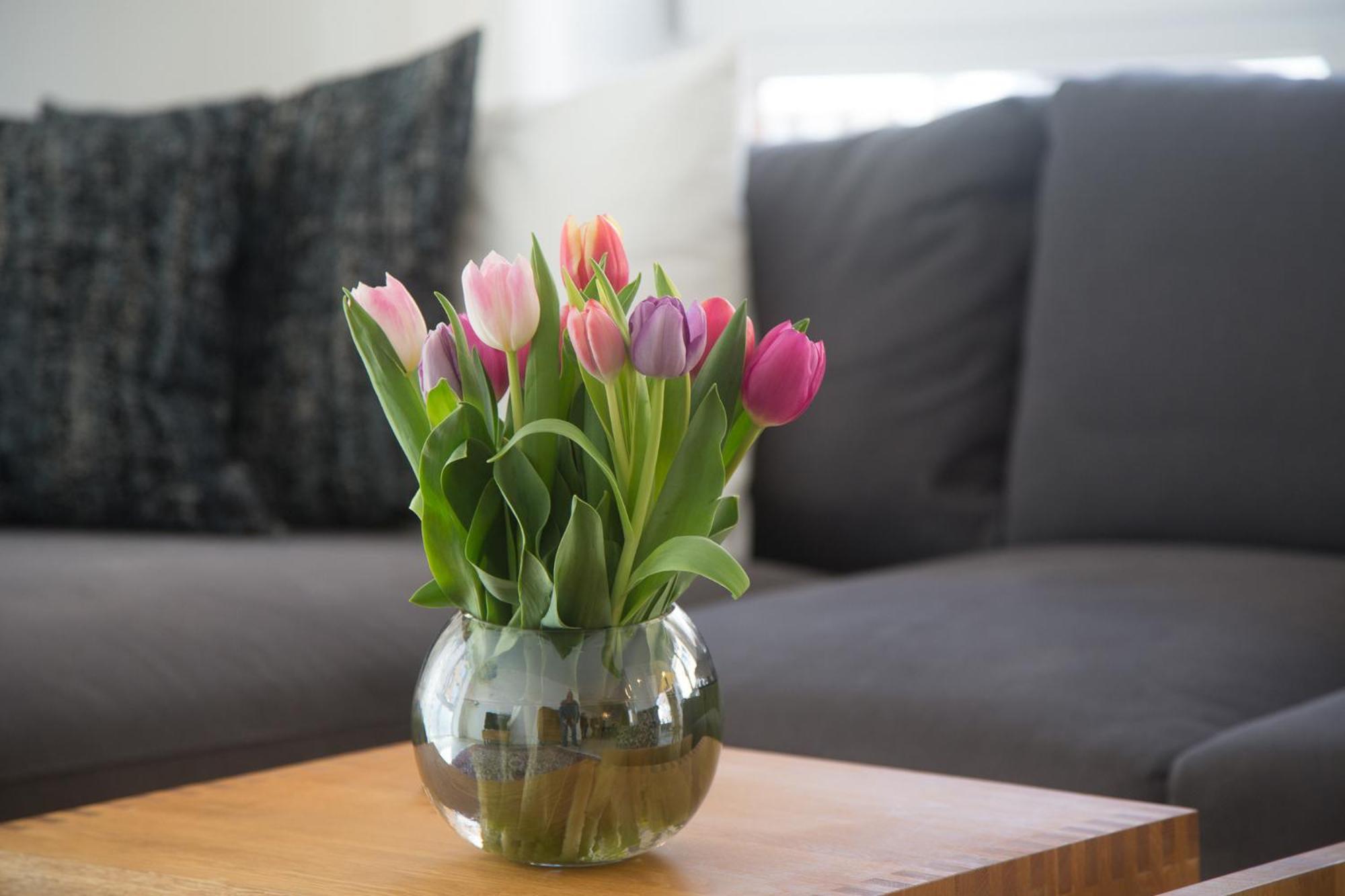 Apartament Goldsprotte Eckernförde Zewnętrze zdjęcie
